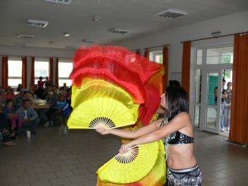 Slávnosti leta 2011 Slávnosti leta 2011