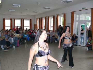 Slávnosti leta 2011 Slávnosti leta 2011