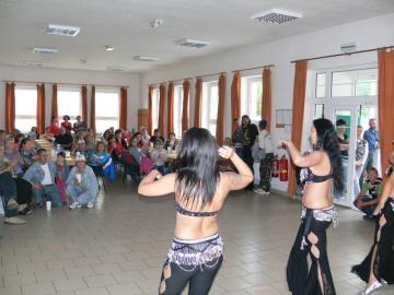 Slávnosti leta 2011 Slávnosti leta 2011
